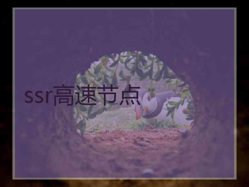 ssr高速节点