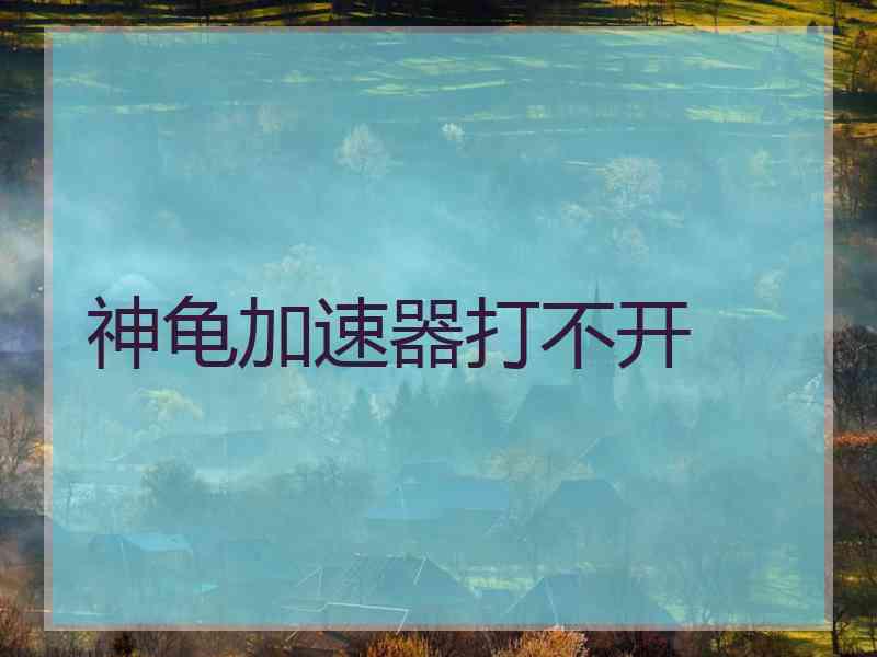 神龟加速器打不开