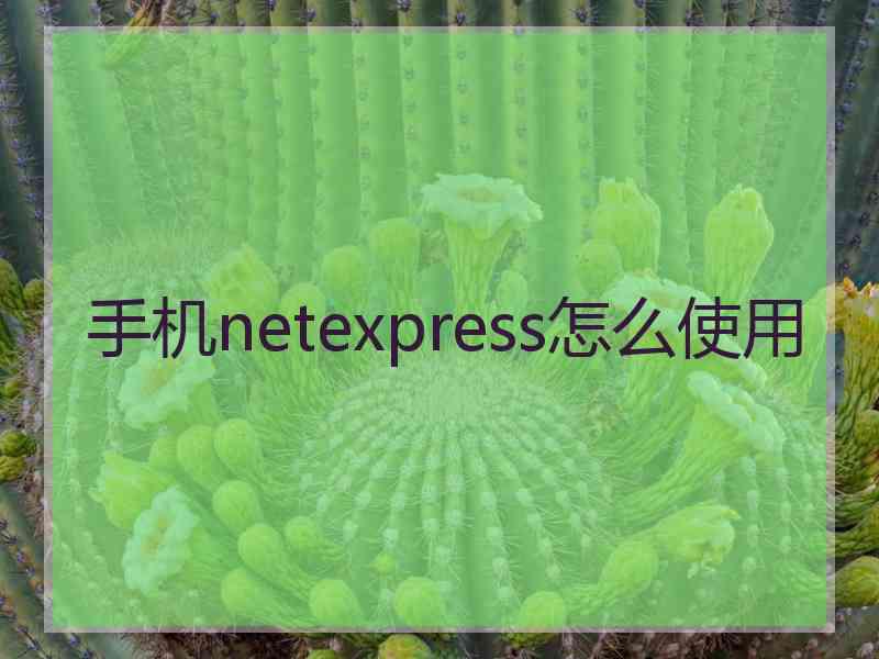 手机netexpress怎么使用