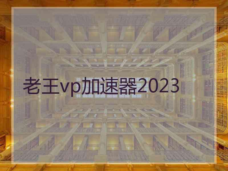 老王vp加速器2023