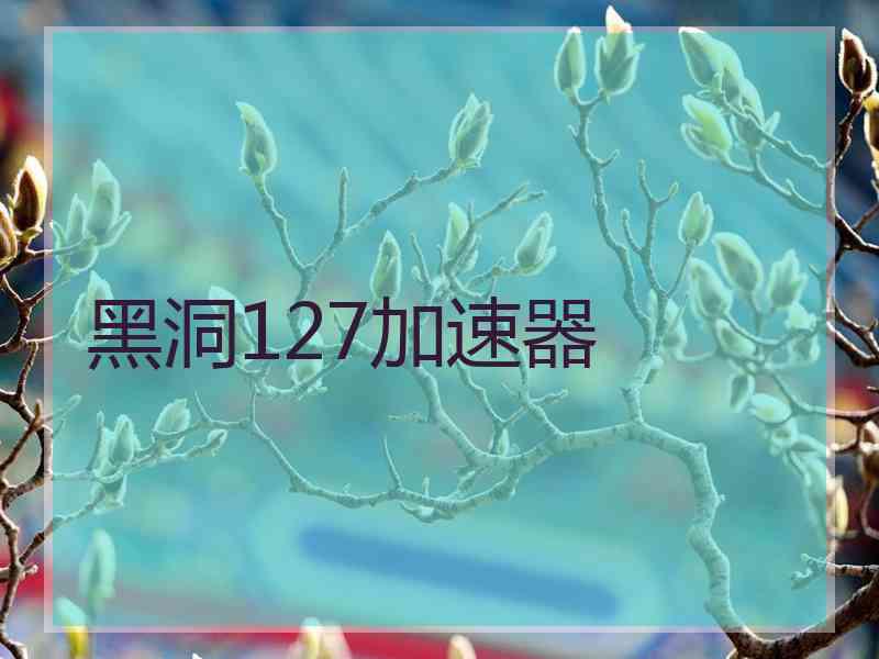 黑洞127加速器