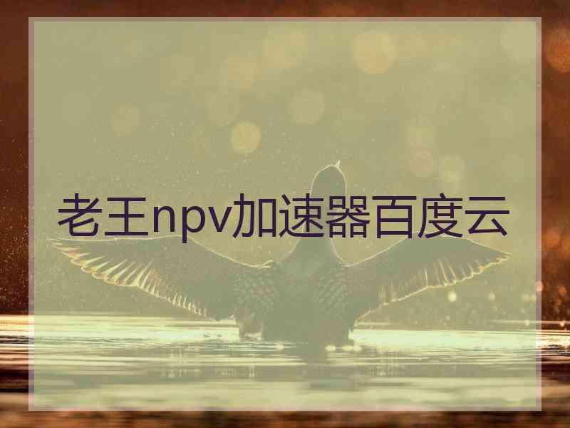 老王npv加速器百度云
