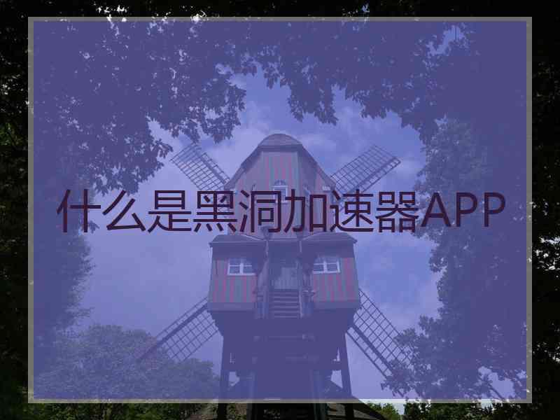 什么是黑洞加速器APP