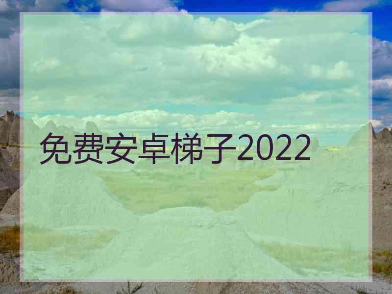 免费安卓梯子2022