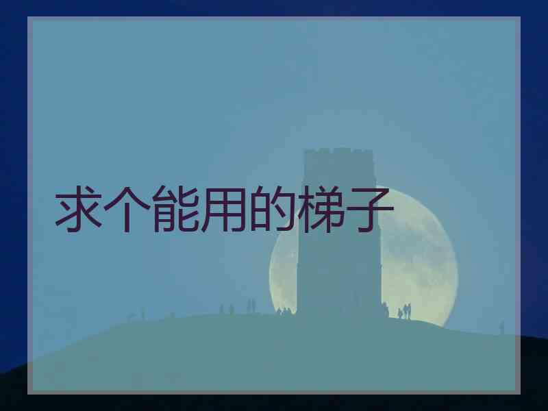 求个能用的梯子