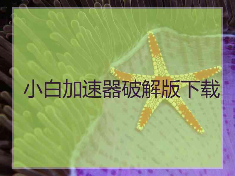小白加速器破解版下载