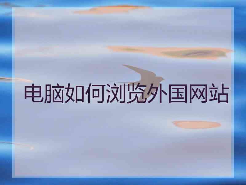 电脑如何浏览外国网站