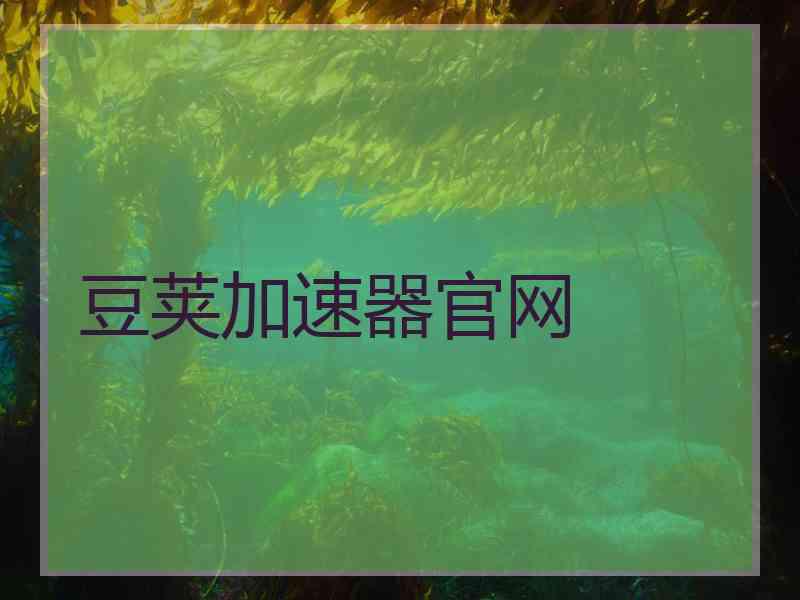 豆荚加速器官网