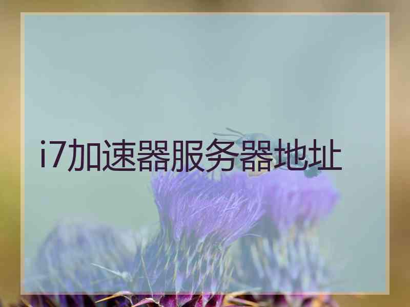 i7加速器服务器地址