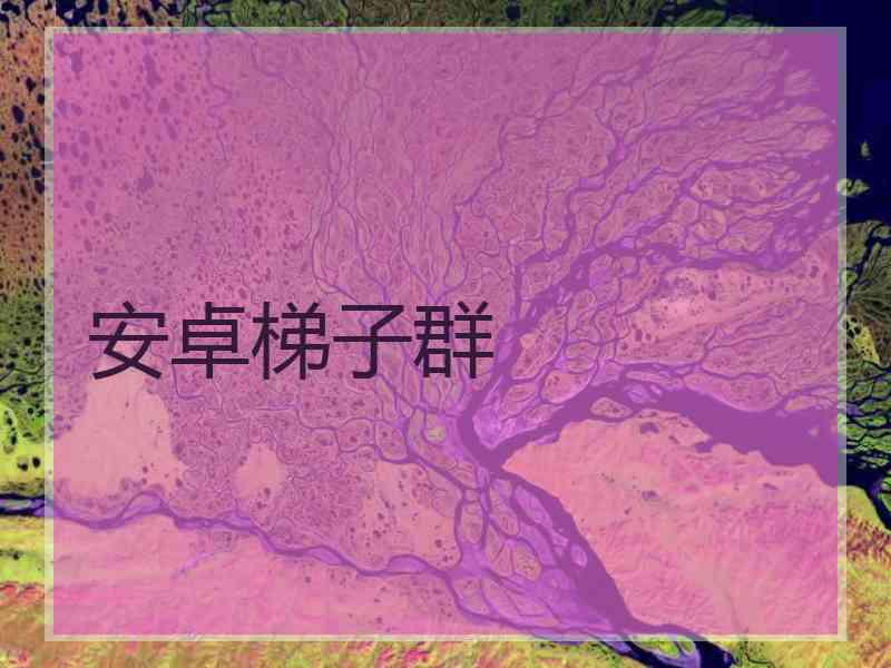 安卓梯子群