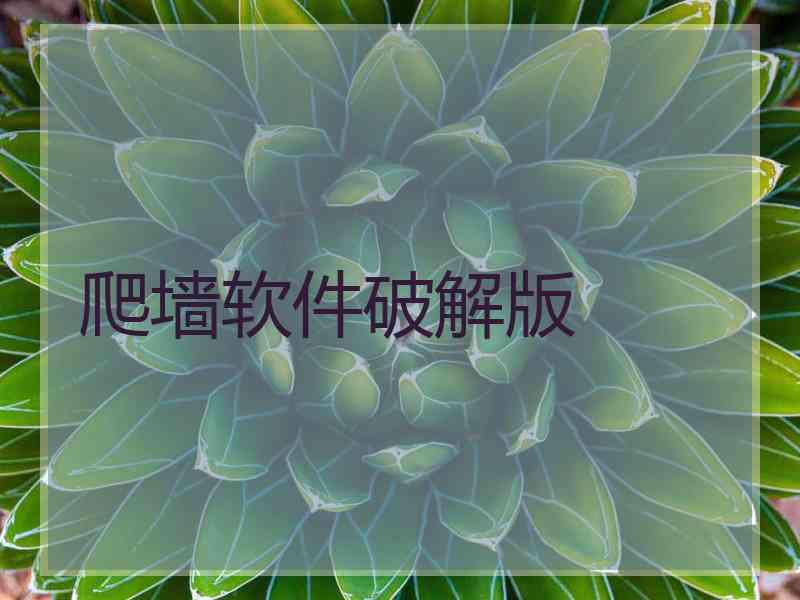 爬墙软件破解版