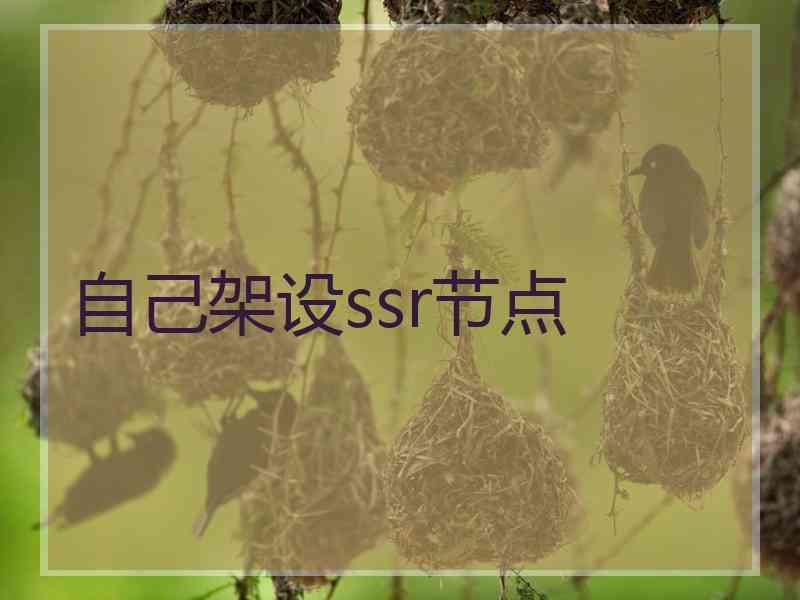 自己架设ssr节点