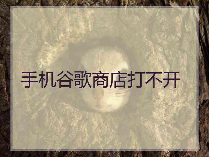 手机谷歌商店打不开