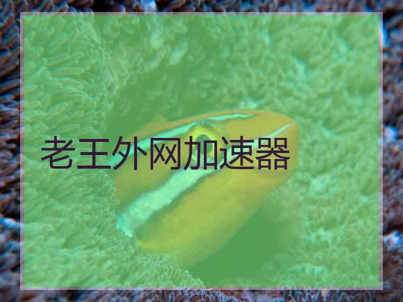 老王外网加速器