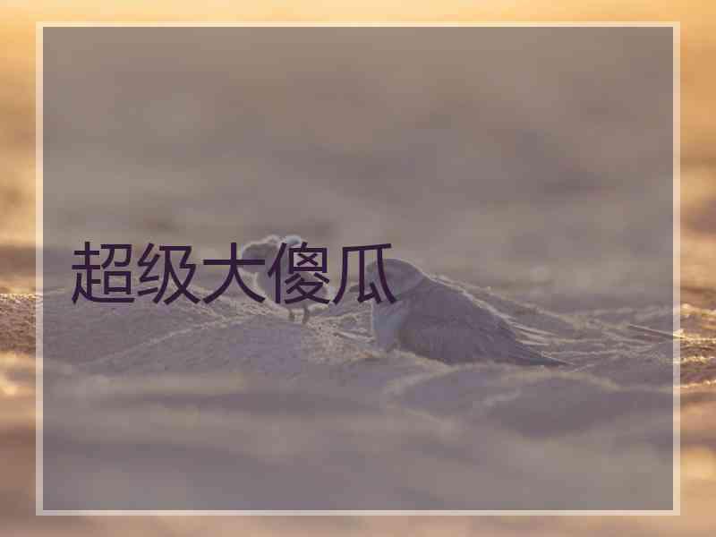 超级大傻瓜