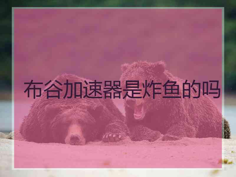 布谷加速器是炸鱼的吗