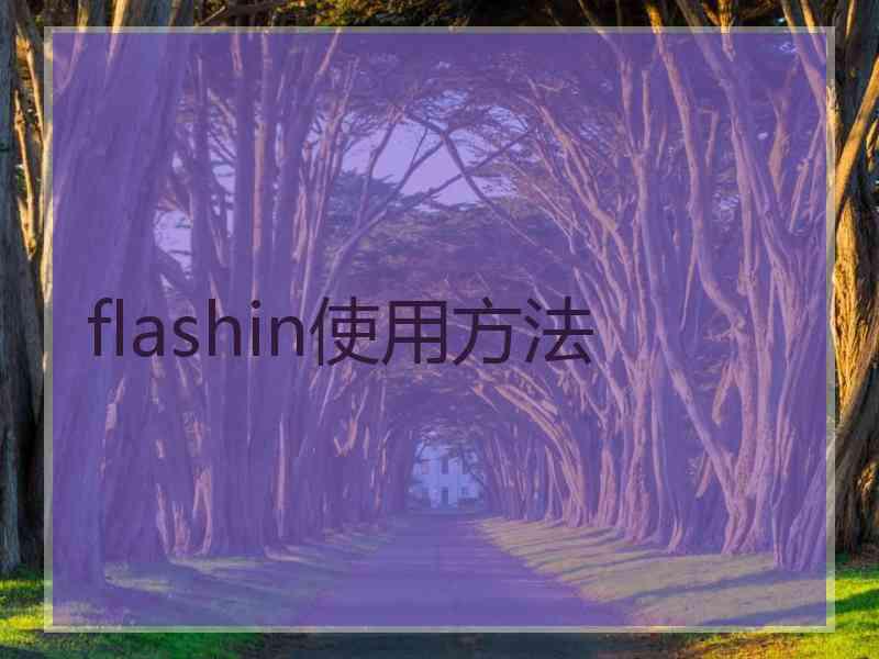 flashin使用方法