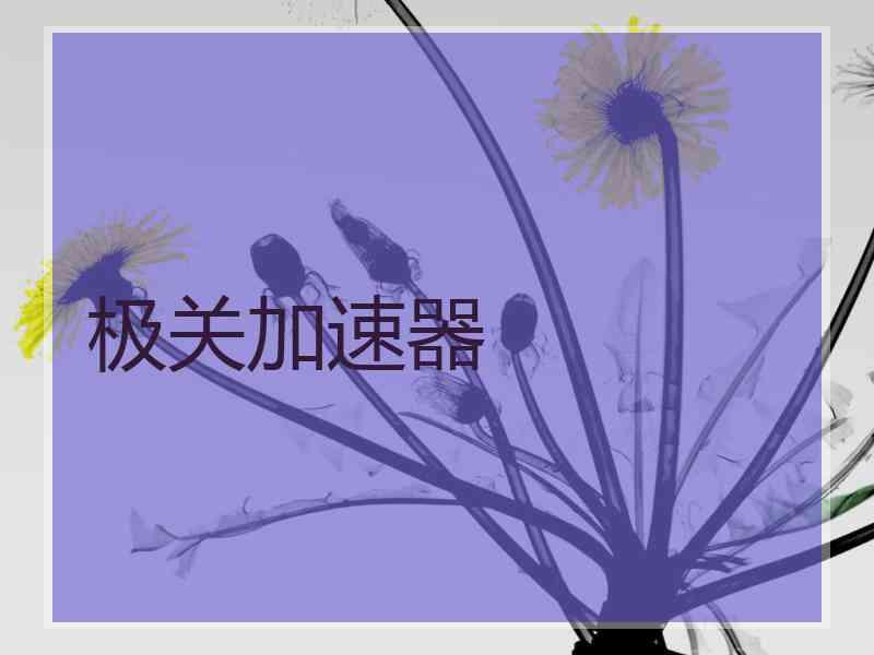 极关加速器