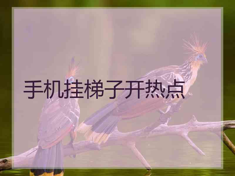 手机挂梯子开热点