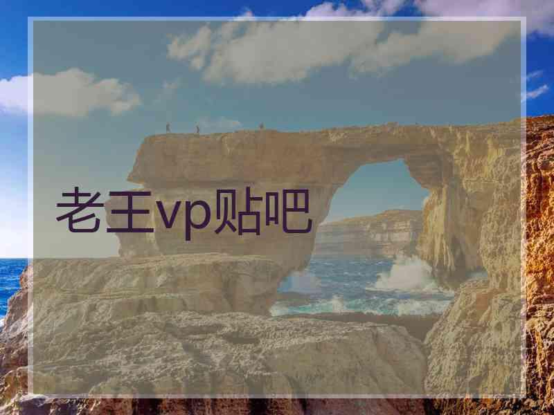 老王vp贴吧