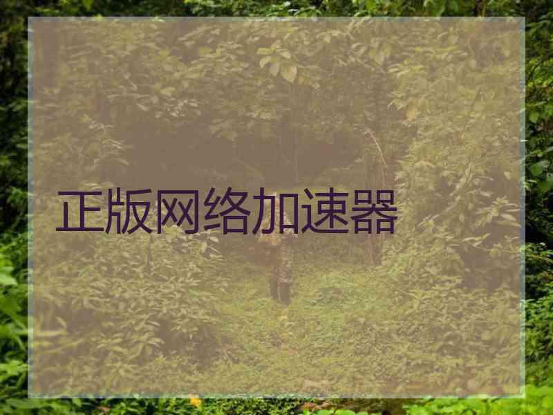 正版网络加速器