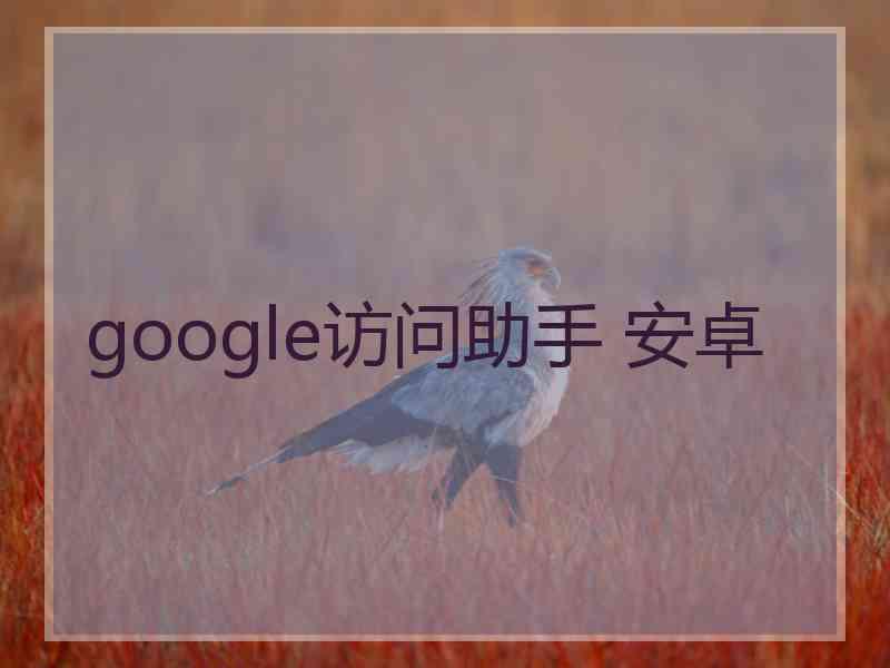 google访问助手 安卓