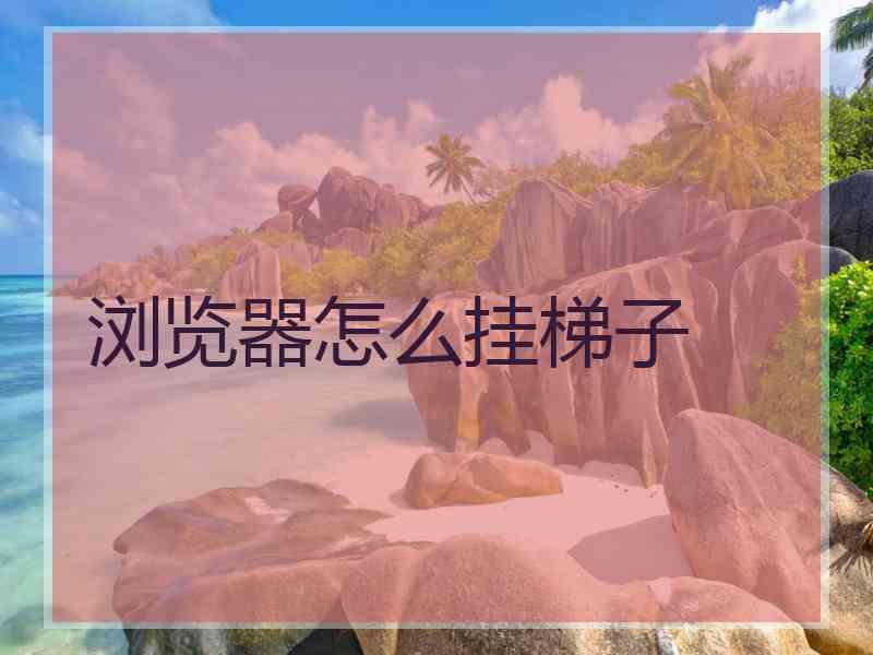 浏览器怎么挂梯子