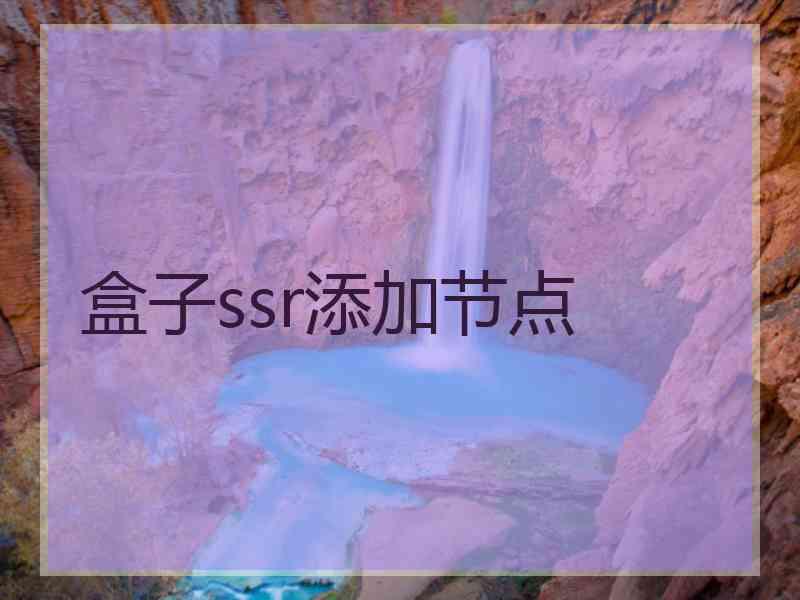 盒子ssr添加节点