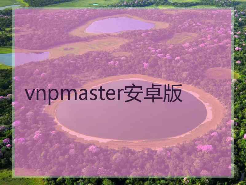vnpmaster安卓版