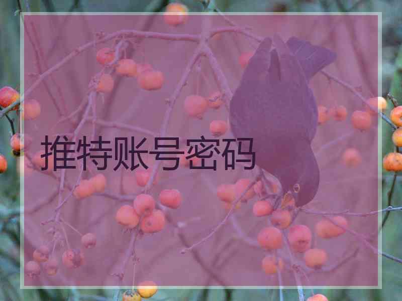 推特账号密码