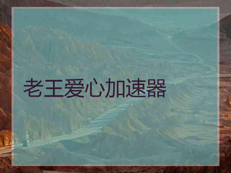 老王爱心加速器