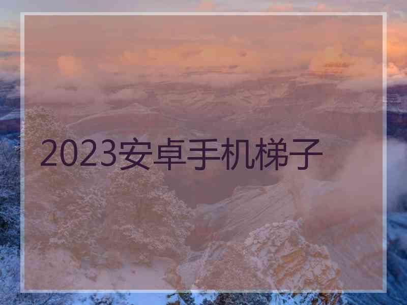 2023安卓手机梯子