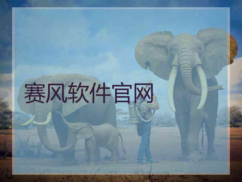 赛风软件官网