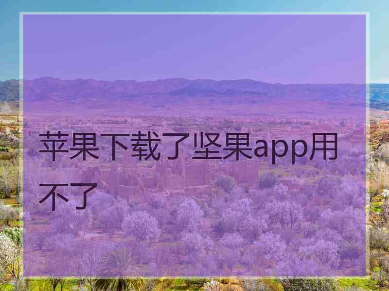 苹果下载了坚果app用不了