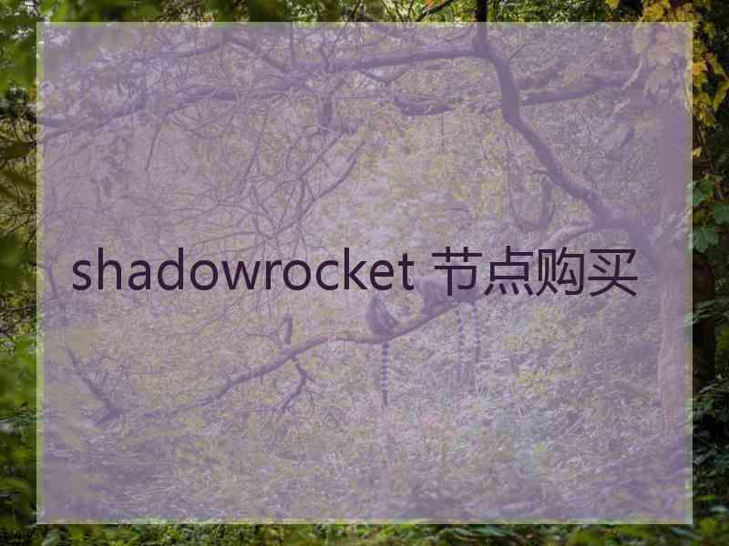 shadowrocket 节点购买
