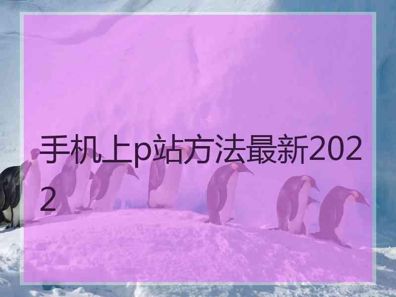 手机上p站方法最新2022