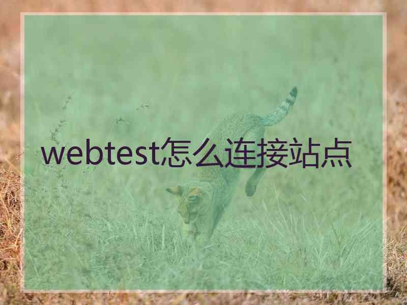 webtest怎么连接站点