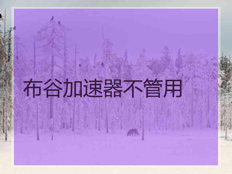 布谷加速器不管用