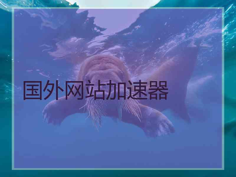 国外网站加速器