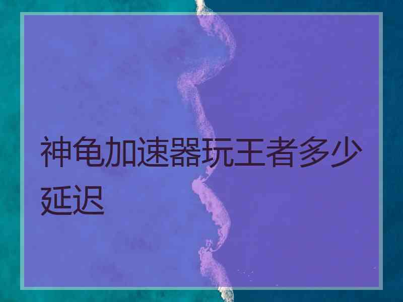 神龟加速器玩王者多少延迟