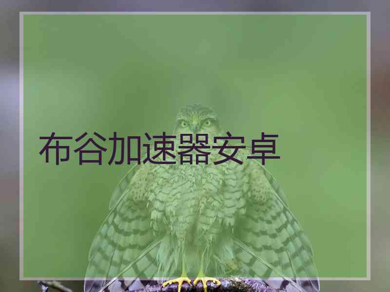 布谷加速器安卓