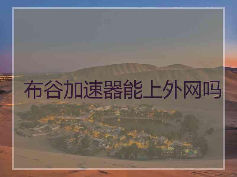 布谷加速器能上外网吗