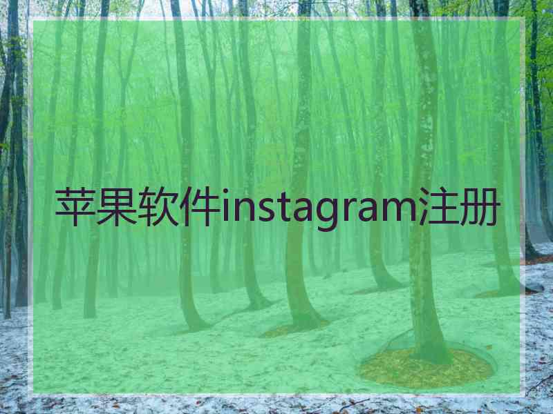 苹果软件instagram注册