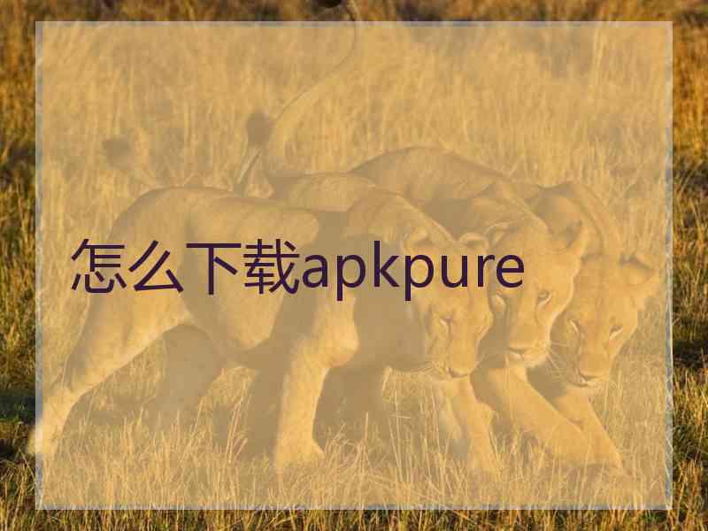 怎么下载apkpure