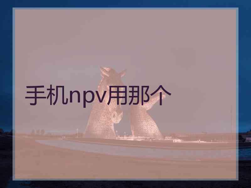 手机npv用那个