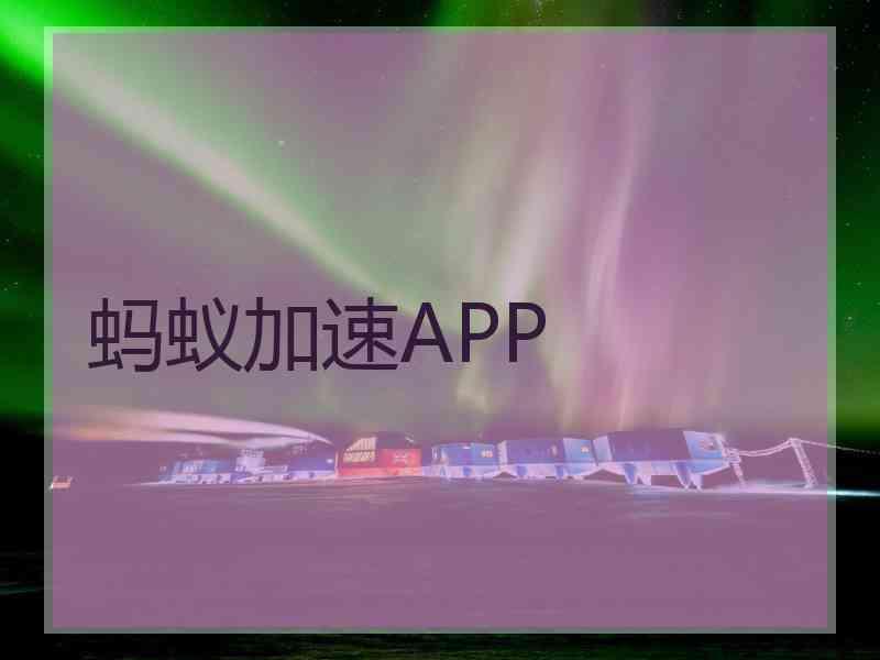 蚂蚁加速APP