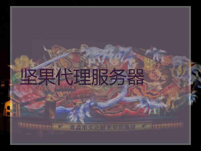 坚果代理服务器