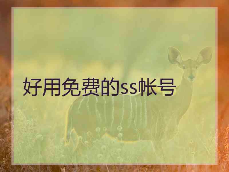 好用免费的ss帐号