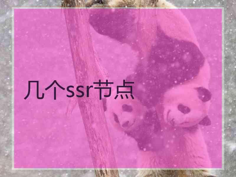 几个ssr节点