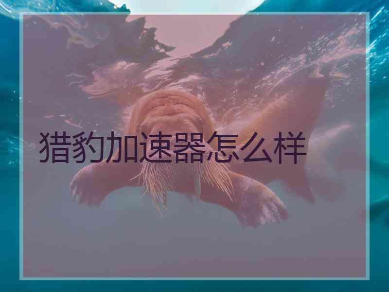 猎豹加速器怎么样